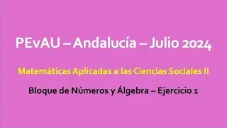 Ejercicio 1 -- PEvAU Andalucía -- Julio 2024 -- Matemáticas Aplicadas a las Ciencias Sociales II