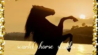 cleaning my schleich stable!!!! pt 1 ❤ 💙 #scarlethorsestables #cleanwithme