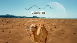 Arabian Desert Groove | Dancing Camel Animation | Design It Life Audio Spectrum