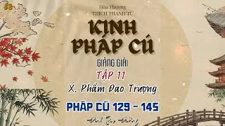 Tập 11 - KINH PHÁP CÚ GIẢNG GIẢI|Chương X: Phẩm Đao Trượng (Câu 129 - 145)|Suy Bụng Ta Ra Bụng Người
