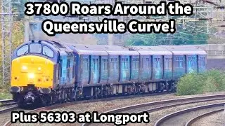 37800 ROARS Around the Queensville Curve with 319373! Plus 56303 in the Yard at Longport FD 16/11/23