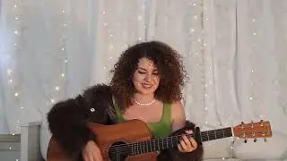 Taylor Swift - Wood Cover 