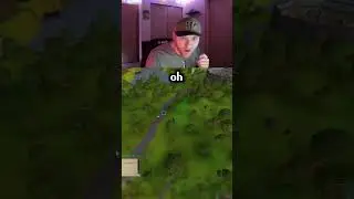 HCIM vs Desert Treasure Assassin #oldschoolrunescape #gaming #hcim #osrs #runescape