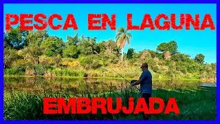 PESCA LAGUNA MALA , pesca y cocina, peca en laguna, tarariras