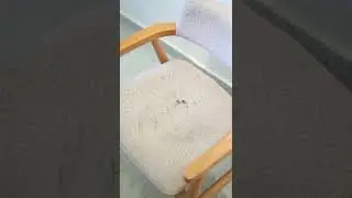 Her eve lazım.Orka Koltuk yıkama makinası..