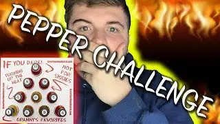 Vlog #14 Hot Sauce Challenge!