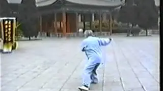 Liao Jia Yi Lu Grand Master Chen Quanzhong's Form