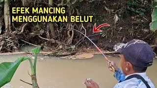 MANCING IKAN DI SUNGAI MENGGUNAKAN BELUT