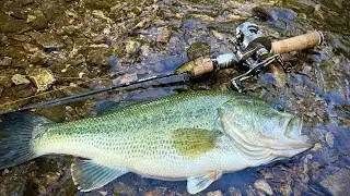 Catching my BIGGEST creek bass on BFS gear (testing new gear)