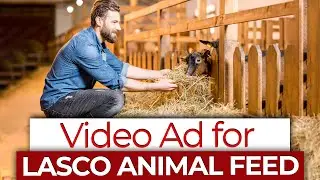 Video Ad for LASCO Animal Feed | Media Production & Digital Agency | DOT Media