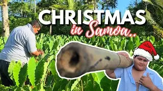 What Most Samoans Do on Christmas Day!🔥🇼🇸🌴
