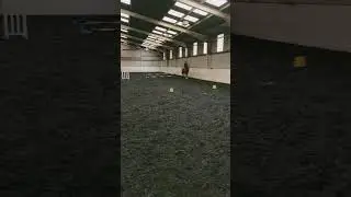 Time to panic #ariat #equestrian #HollandCooper