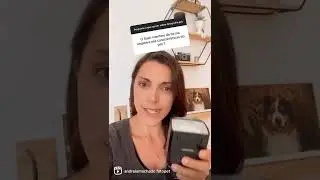 Pode usar flash na fotografia pet?