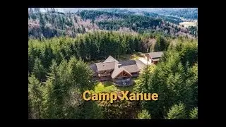 Camp Xanue - Driveway Curve Trail Cam (February 8, 2025)