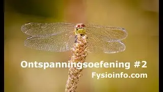 Ontspanningsoefeningen, maak je hoofd leeg en ontspan je lijf