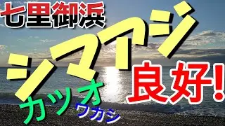 【秋の七里御浜】シマアジ　青物　好調。2024年秋の様子をお伝えします。