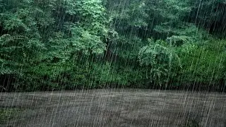 Rain Sounds in the Backyard as Heavy Rain Pours Down - White Noise for Sleep, Relaxes your Mind