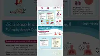 Acid base imbalance for NCLEX RN exam