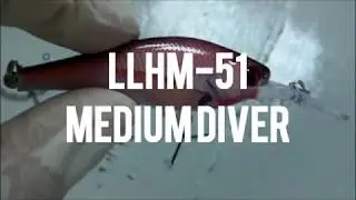 LLHM51 