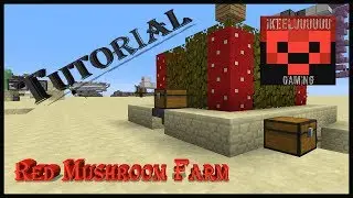 Simple Red Mushroom Farm