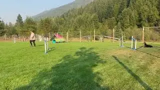 CKC jumps with weaves September 20, 2025