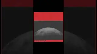 Playboi carti the weeknd timeless alt cover art #newmusic #slowandsteadywinstherace #motionposter