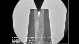 Crack propagation due to the nanoscale stress singular field at a crack tip