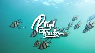 Ultimate Vlog Music Mix! [August 2017]