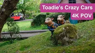 Toadie's Crazy Cars POV at Chessington World of Adventures