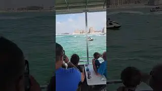 Clearwater Fun Boat ride with dolphins... and ice cream