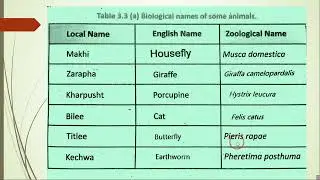 Animals scientific name | Biological names | Local | English name  #asim_zoologist
