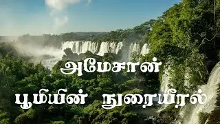 Amazon Forest Documentery @Cartoon-Stories-Tamil #amazon #forest #documentery #birds #amazon river 
