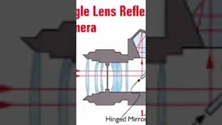 Digital single-lens reflex camera