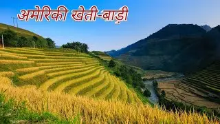 Terrace farming