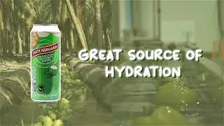 Taste Nirvana Coconut Water: The Best Pure Coconut Water Around
