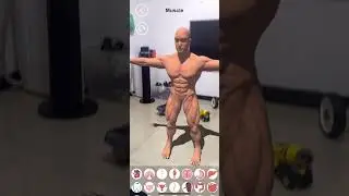 Unity Template - AR Human Organs - Downloadable