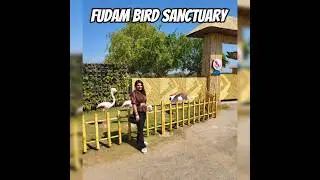 Fudam Bird Sanctuary Diu...🐦🦆🦤🦩 #travel #trending #birds