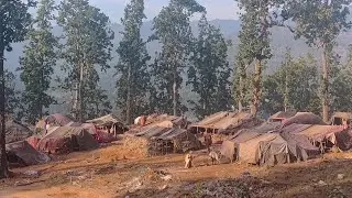 Endangered Nomadic Tribe of Nepal | Jungle Kings Raute Lifestyle, Food & Culture Very Poor Lifestyle
