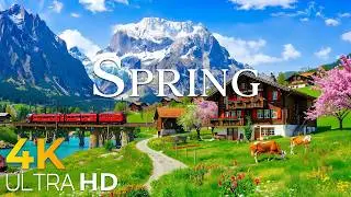 Switzerland Getting Ready for Spring 🌿 Peaceful Alpine Landscapes 4K