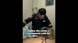 DIY Snake Rescue: The Bravest Firefighter You&rsquo;ve Ever Seen#shorts#story #heartwarming#hearttouching