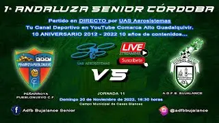 PE&Ntilde;ARROYA PUEBLONUEVO C.F. vs A.D.F.B. BUJALANCE - SENIOR
