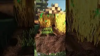 Minecraft 1.20.10 + Realistic RTX texture pack + BetterRTX