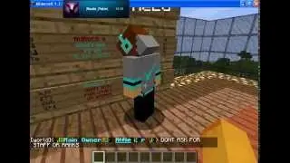 minecraft server Staff needed