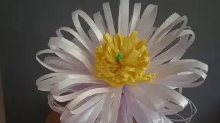 ✨Easy Paper flowers 🌼 Dly Paper Craft #flowers #viralshorts #shorts