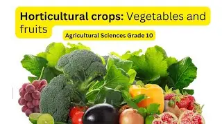 Agricultural Sciences grade 10: Horticultural crops: Vegetables and fruits
