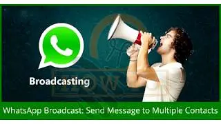 How to send WhatsApp message to all contacts list