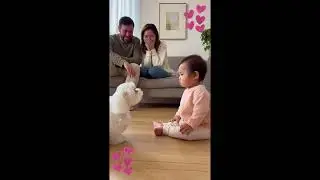 Funny Dogs and Cute little Baby