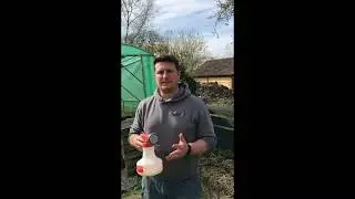 Vine Weevil control using nematodes