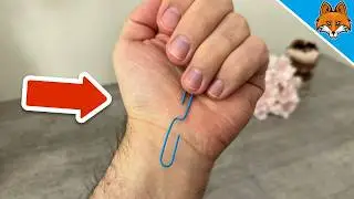 (К сожалению, секретный) трюк со скрепкой, который должен знать КАЖДЫЙ🤯💥