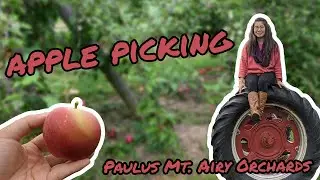 Fall Apple Picking | Paulus Mt. Airy Orchards, Dillsburg, PA